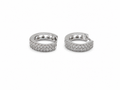 Örhängen – Platinum Hoop Earrings