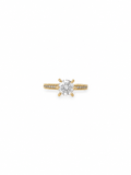 Ring – Classic Guld